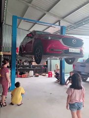 Kittens Found Hiding in Cars Underbody