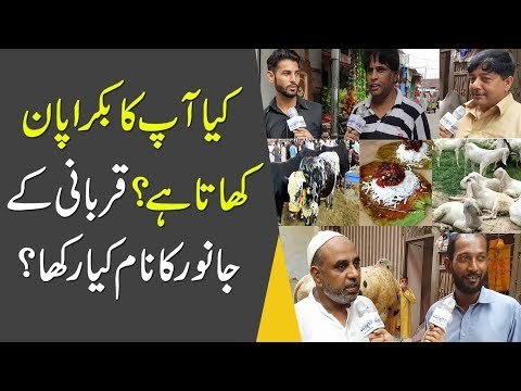 Does Your Bakra Eat Paan? | What Is Your Qurbani Animal Name? | Eid-Ul-Adha 2019