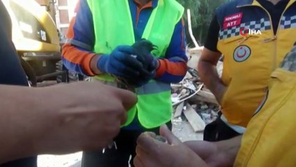 Boğazına sakız yapışan güvercini enkaz bölgesindeki ekipler kurtardı