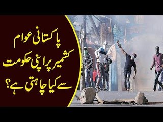 How Should Pakistan Support Kashmir Under PTI Govt? | Public Suggestions