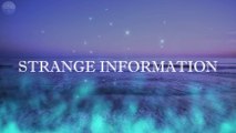 Rimo's World Channel- Strange information - puzzles - quotes ....SOON/ قناة عالم ريمو - معلومات غريبة  - الغاز - اقوال ...  قريبا