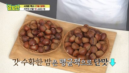 3가지만 기억하세요! 맛있는 [밤] 고르는 법 공개