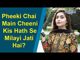 Common Sense Question | Bushra Gulfam | Pheeki Chai Main Cheeni Kis Hath Se Milayi Jati Hai?