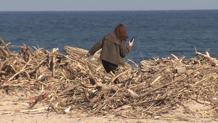 태풍 쓰레기 5천 톤 한 달 넘게 방치..."예산이 없어서" / YTN