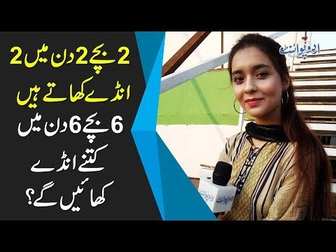 2 بچے 2 دن میں 2 انڈے کھاتے ہیں، 6 بچے 6 دن میں کتنے انڈے کھائیں گے؟