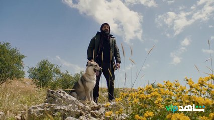 اللي صار ما يتغفر واللي ناوي عليه جبل ما يتوصف