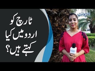 ٹارچ کو اردو میں کیا کہتے ہیں؟