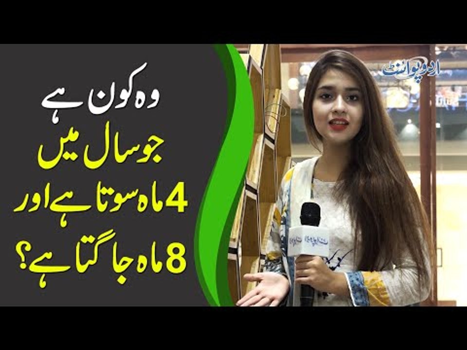 وہ کون ہے جو سال میں 4 ماہ سوتا ہے اور 8 ماہ جاگتا ہے؟