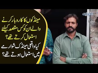 What Is The Reality Of Frog Scandal In Lahore? | True Story Revealed