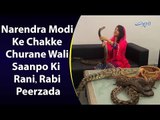 Why Did Pakistani Singer Rabi Pirzda Threaten Indian PM Modi With Snakes?