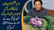 Who Is Threating PM Imran Khan's Residence Bani Gala? | Shocking Name Revealed