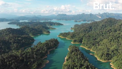 5 good news stories for the planet