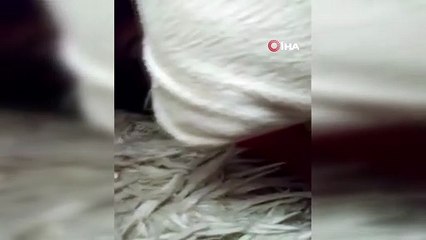 58 saat sonra kurtarılan İdil'in enkaz altındayken itfaiye eriyle konuştuğu anlar kamerada