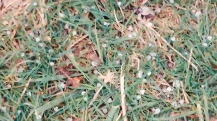 November begins with graupel showers