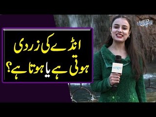 Anday Ki Zardi Hoti Hai Ya Hota Hai?