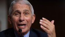 Trump Admin Blasts Fauci For Saying US Needs An 'Abrupt Change' In Handling Pandemic