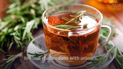 Rosemary Tea Health Benefits That Will Surprise You