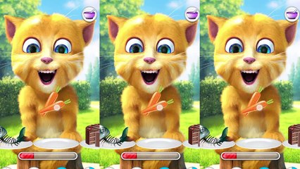 Ginger Cat Birthday Celebrations Talking Tom Friends Funny | Birthday Cake | Smack | Eating