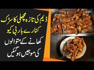 Most Famous Grilled & Fried Fish In Punjab | Abaseen Restaurant Near Shahpur Dam
