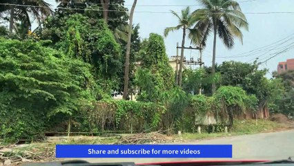 prestige primrose hills