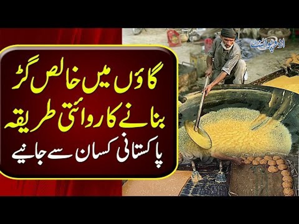 How Gurr Is Made From Sugar Cane | A Tour Of Punjab’s Sugar Cane Fields