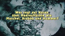 [DE] Was sagt der Koran über Meeresfrüchte wie Muschel Krabbe und Hummer?