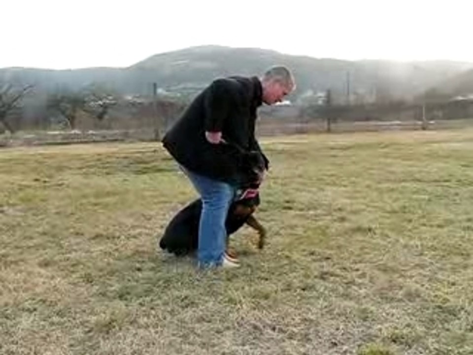 Entrainement a limony 018