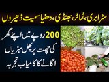 This Boy Grows Vegetables & Fruits On His Rooftop in Just 200 Rupees | Home Garden Vegetables