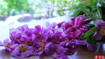 Picking Out Blooming Flowers to Make Aromatic Dew 摘下一朵朵盛放的花，凝结成香喷喷的露——纯露 Liziqi Channel