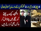 These Pakistani Brothers Have 4 Leopards, 2 White Lions and 2 Lagar Bagar at Home