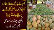 Chaunsa & Sindhi Mangoes | Amazing Mango Garden in Pakistan - Fresh Mangoes