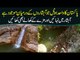 Neela Sandh – A Perfect Tourist Spot In Summers | Watch People Enjoy The Cool Lake Water
