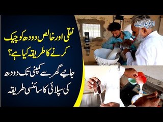 How Milk Is Collected & Tested In Villages? | Tour Of A Dairy Center In Shorkot