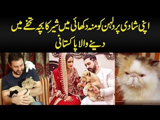 This Man Has Punch Face Cats, Lion’s Cub & Dogs At Home | Watch How He Cares For All His Pets