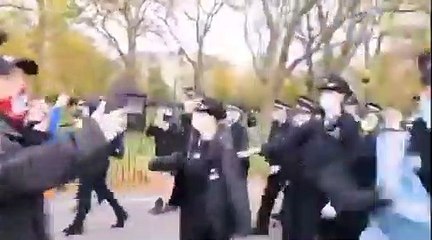 Tommy Robinson arrested under coronavirus regulations in London’s Hyde Park