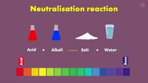 Neutralisation _ Acid Bases and Salts
