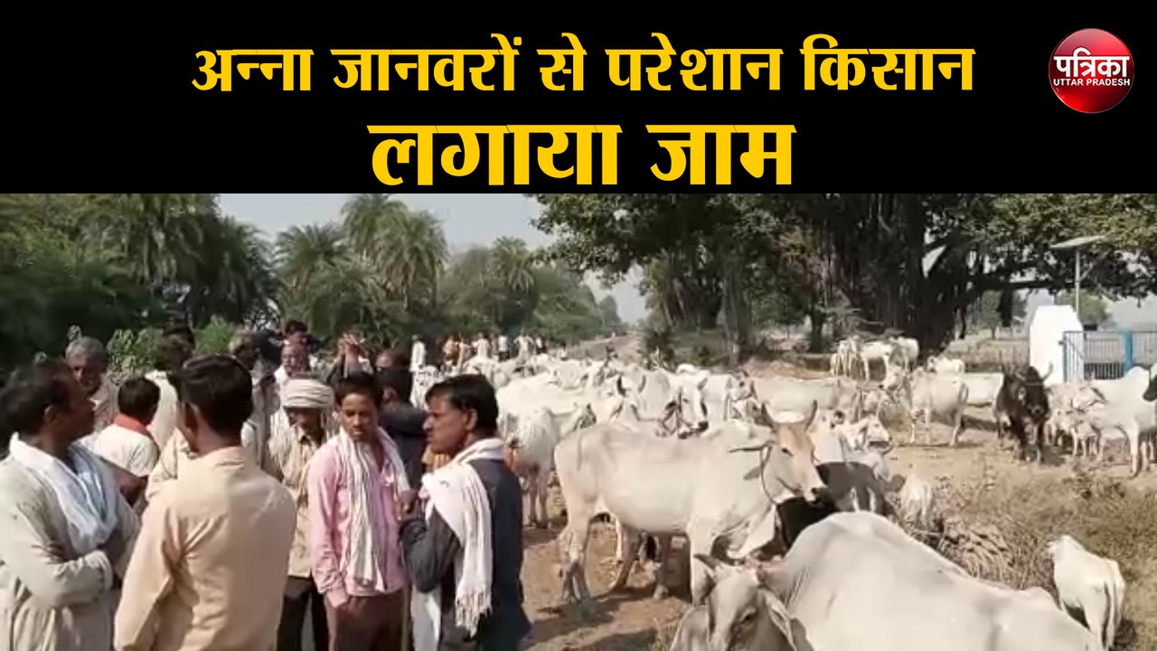 अन्ना जानवरों से परेशान किसान, लगाया जाम