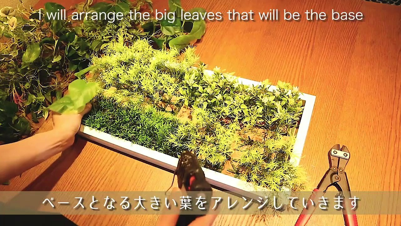 【DIY】2 壁掛けグリーンウォール/Wall-mounted green wall made only with fake green