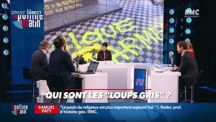 Nicolas Poincaré : Qui sont les "Loups gris" ? - 02/11