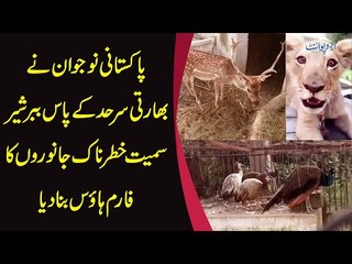 This Man Has Converted His Farm Into A Park & Mini Zoo In Zafarwal | Rare Animals In Pakistan