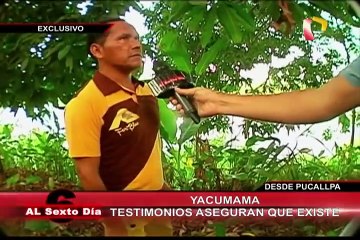 Yacumama: serpiente de 30 metros de largo habría devorado a grupo de pobladores