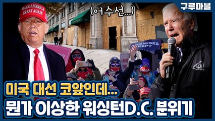 [구루마블] 미국 대선 코앞! 워싱턴D.C. 분위기가 이상하다!? / YTN