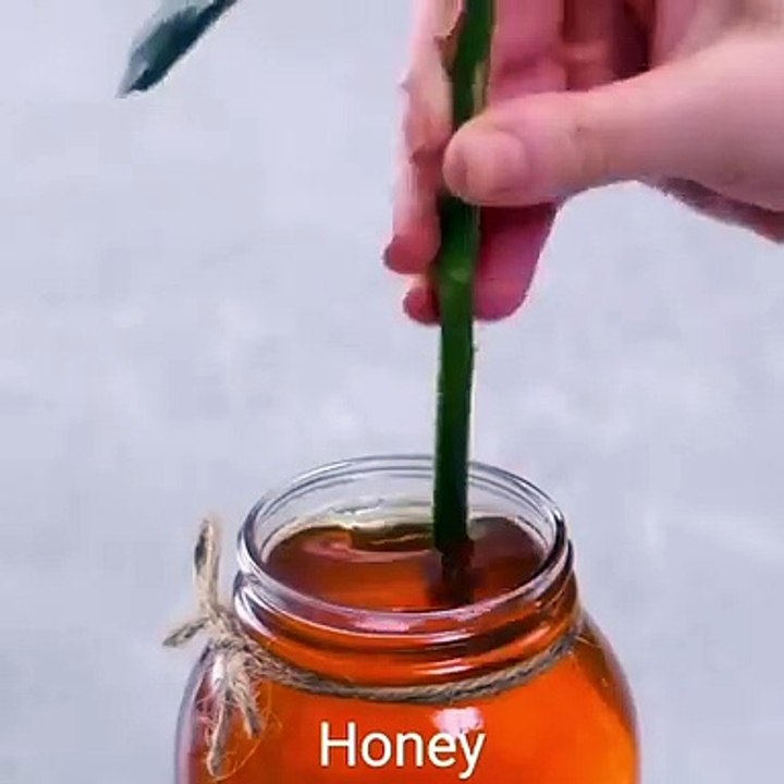 Do it YourSelf Videos 171