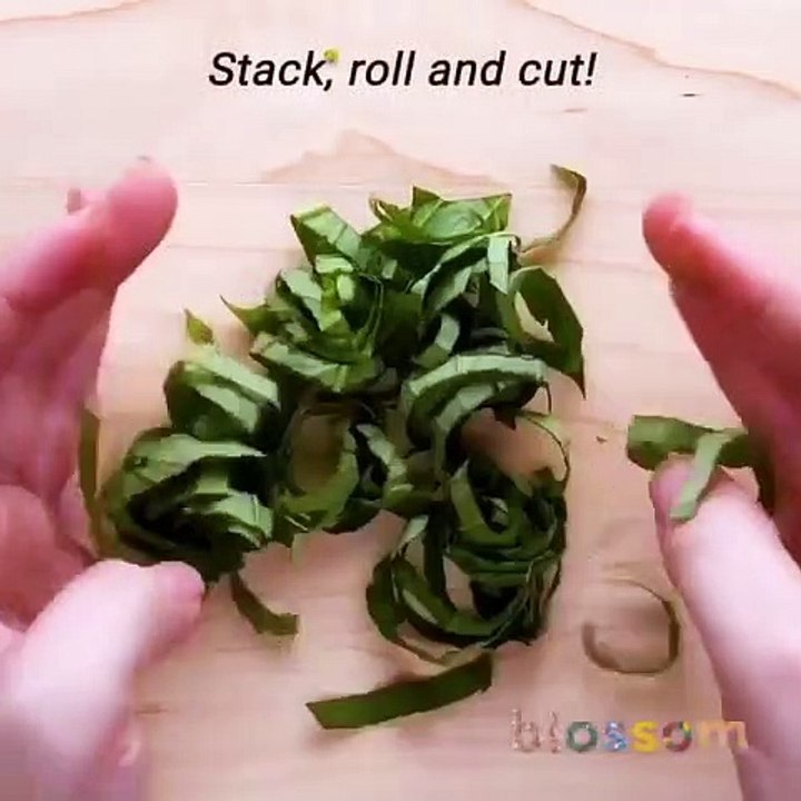 Do it YourSelf Videos 173