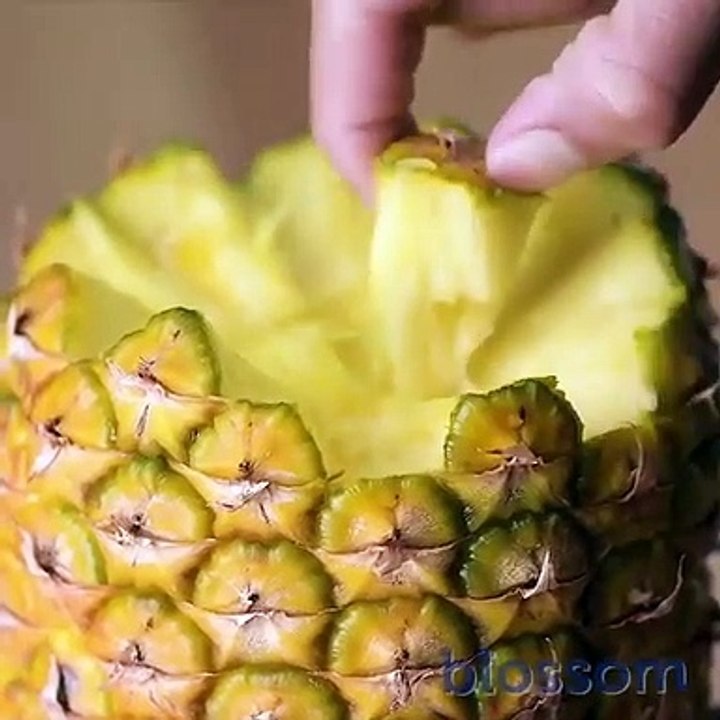 Do it YourSelf Videos 191