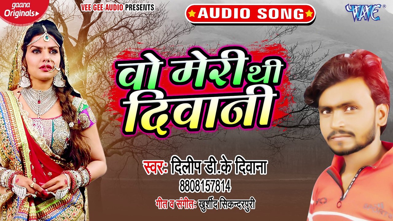Wo Meri thi Diwani - Wo Meri Thi Diwani - Dilip Di Ke Diwana