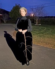 Halloween : le costume de Celine Dion en met plein la vue à ses fans