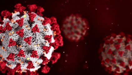 Breakthrough: Virus Fighters 2020 - National Geographic