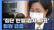 '집단 반발 검사 사표' 청원 급증...