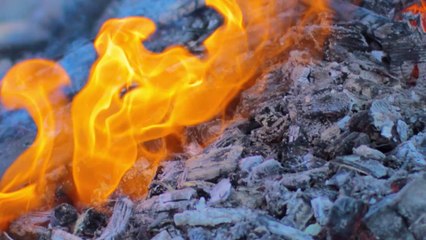 焚き火  a bonfire